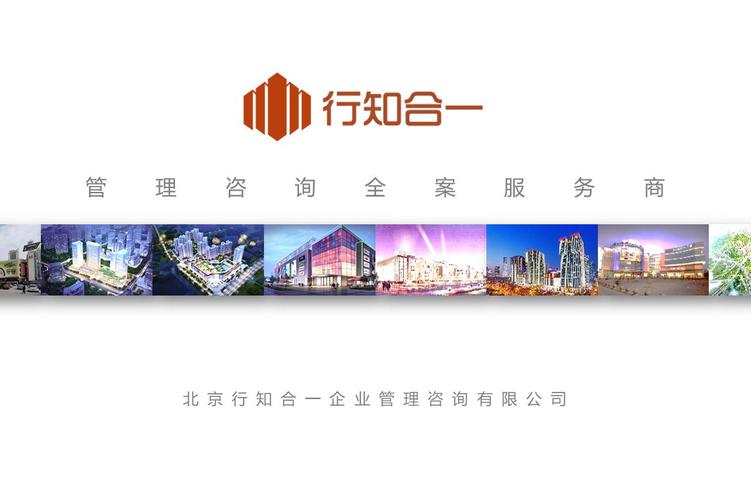 专业咨询，卓越共赢——王小龙公司咨询服务介绍